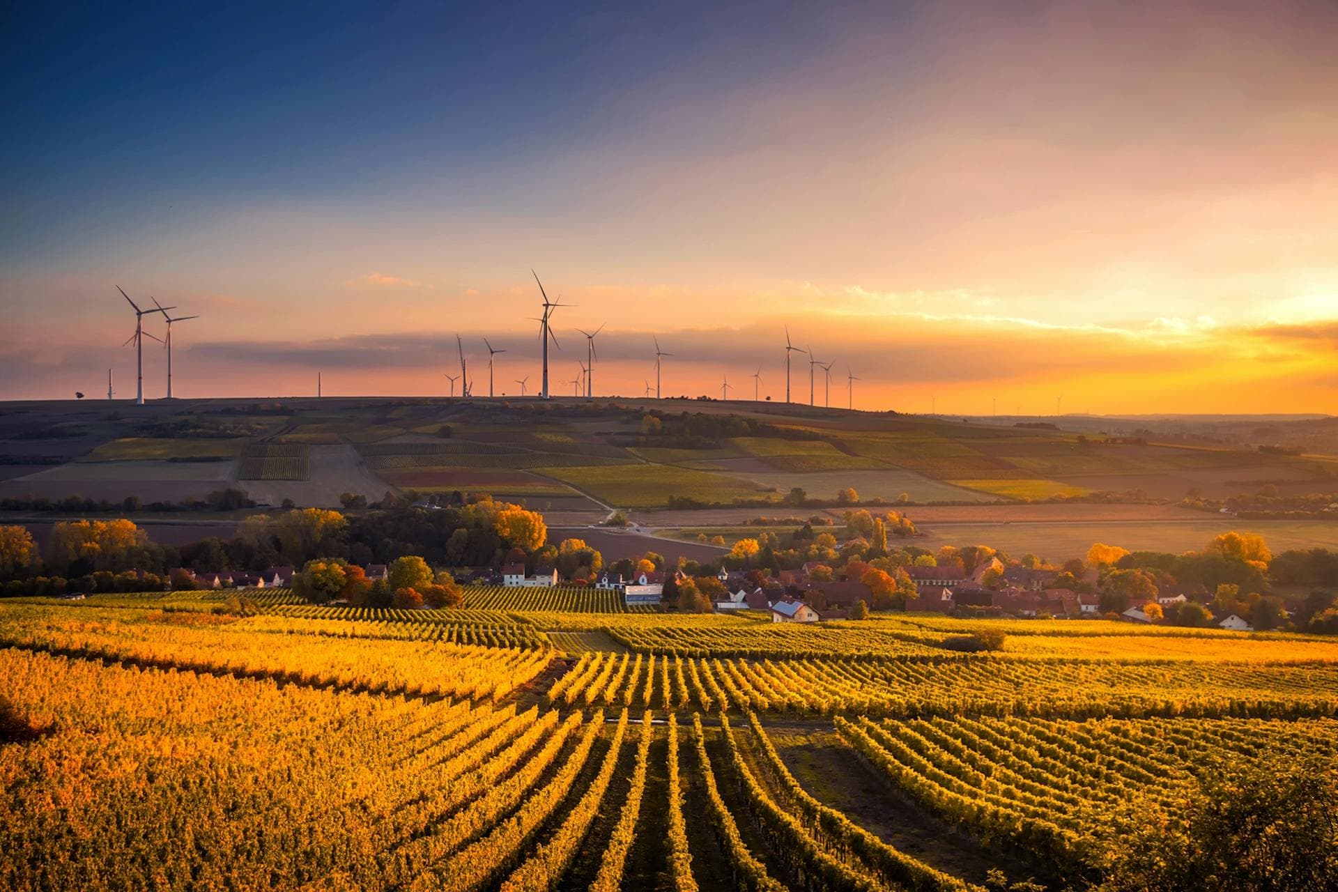 Sustainability